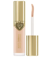 Dolce & Gabbana Everlast Concealer