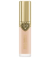 Dolce & Gabbana Everlast Concealer