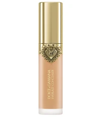Dolce & Gabbana Everlast Concealer