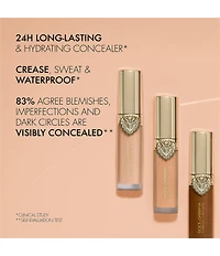 Dolce & Gabbana Everlast Concealer