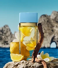 Dolce & Gabbana Light Blue Eau De Parfum