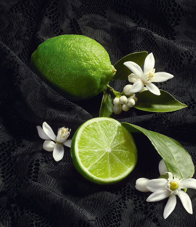 Dolce & Gabbana Sicily Re-Edition Eau De Parfum