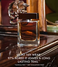 Dolce & Gabbana The One for Men Eau de Parfum