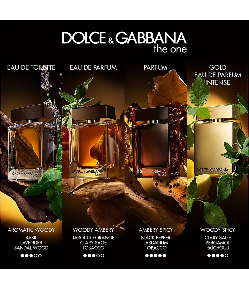 Dolce & Gabbana The One for Men Eau de Parfum