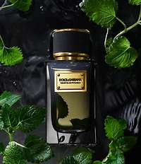 Dolce & Gabbana Velvet Black Patchouli Eau de Parfum