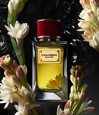 Dolce & Gabbana Velvet Collection Opulent Discovery Set
