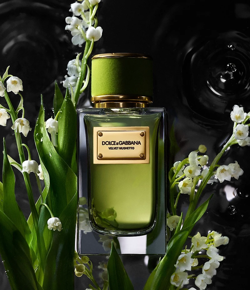 Dolce & Gabbana Velvet Collection Opulent Discovery Set