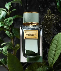 Dolce & Gabbana Velvet Collection Opulent Discovery Set