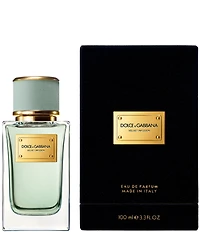 Dolce & Gabbana Velvet Infusion Eau de Parfum