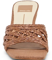 Dolce Vita Bowen Raffia Woven Slide Dress Sandals