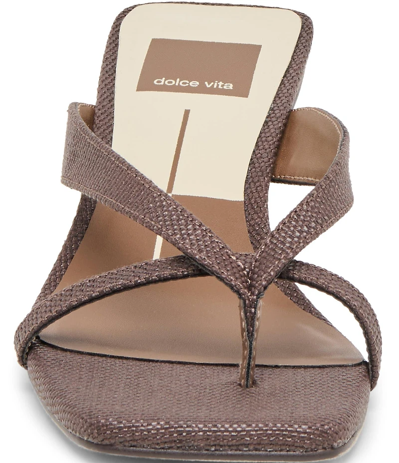 Dolce Vita Brevel Raffia Thong Kitten Heel Dress Sandals