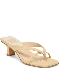 Dolce Vita Brevel Raffia Thong Kitten Heel Dress Sandals