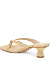 Dolce Vita Brevel Raffia Thong Kitten Heel Dress Sandals