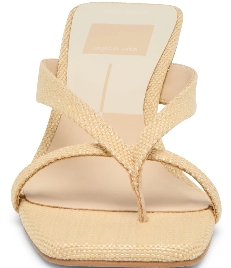 Dolce Vita Brevel Raffia Thong Kitten Heel Dress Sandals