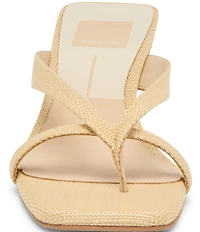 Dolce Vita Brevel Raffia Thong Kitten Heel Dress Sandals