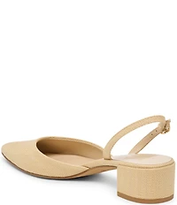Dolce Vita Carel Raffia Point Toe Block Heel Slingback Pumps