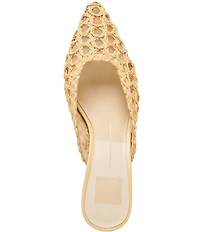 Dolce Vita Cleo Loop Raffia Kitten Heel Mules