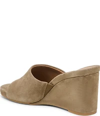 Dolce Vita Holta Suede Dress Platform Wedge Slide Sandals