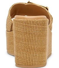 Dolce Vita Jilian Raffia Oversized Buckle Platform Wedge Sandals