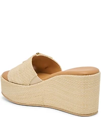 Dolce Vita Jilian Raffia Oversized Buckle Platform Wedge Sandals