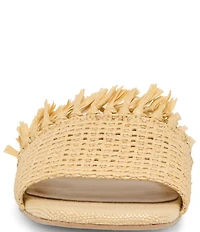 Dolce Vita Lenya Raffia Slide Sandals