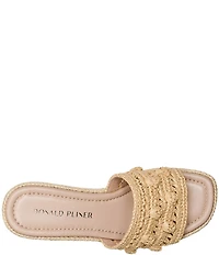 Donald Pliner Jakkir Raffia Macrame Platform Wedge Slide Sandals