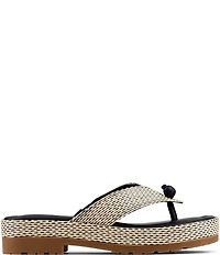 Donald Pliner Sylverr Raffia Thong Platform Sandals