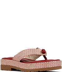 Donald Pliner Sylverr Raffia Thong Platform Sandals