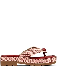 Donald Pliner Sylverr Raffia Thong Platform Sandals