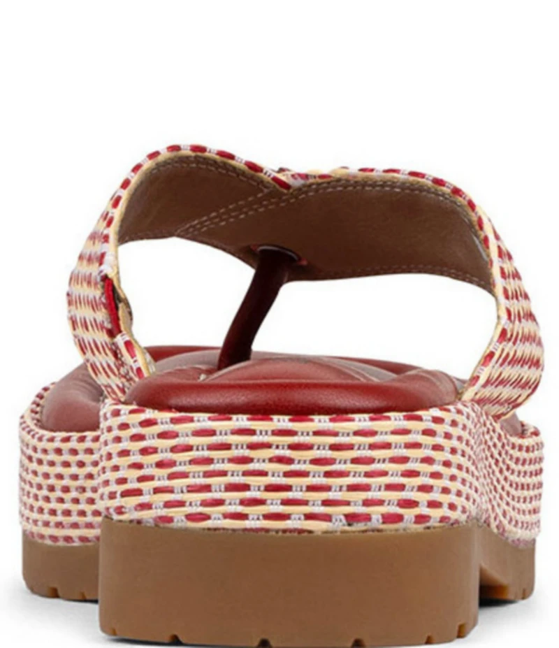 Donald Pliner Sylverr Raffia Thong Platform Sandals