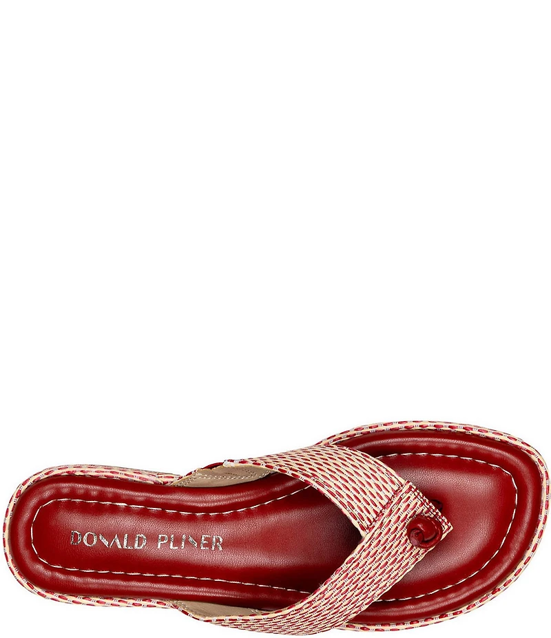 Donald Pliner Sylverr Raffia Thong Platform Sandals