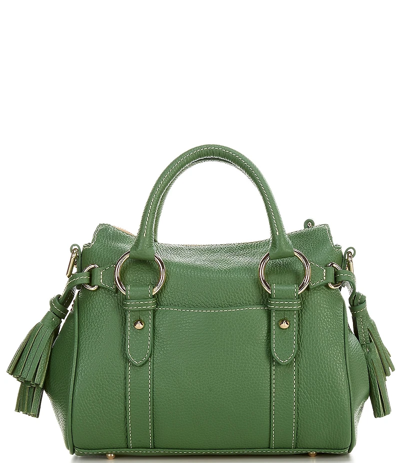 Dooney & Bourke Lucca Leather Tassle Satchel Bag