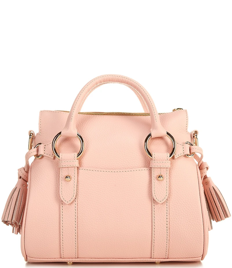 Dooney & Bourke Lucca Leather Tassel Satchel Double Handle Bag