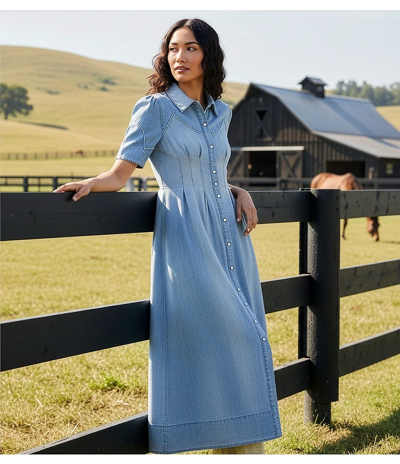 Double D Ranch Buckskin Blues Point Collar Short Sleeve A-Line Dress