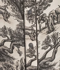 Double D Ranch Toile Point Collar Long Sleeve Snap Front Coordinating Shirt