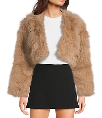 Double Zero Faux Fur Cropped Jacket