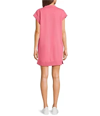 Double Zero Mock Neck Quarter Zip Mini Dress