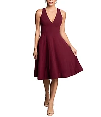 Dress the Population Catalina Crepe V-Neck Sleeveless A-Line Dress