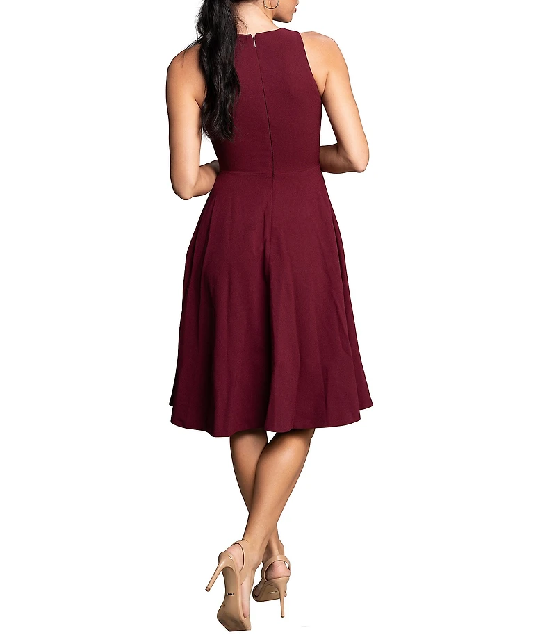 Dress the Population Catalina Crepe V-Neck Sleeveless A-Line Dress