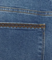 Driftwood Rina Denim Paisley Print Straight Leg Jeans