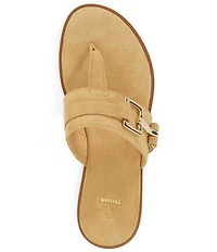 Dune London Lotica Suede Hardware Detail Thong Sandals