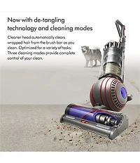 Dyson Ball Animal 3 Extra Upright Vacuum Cleaner- Red