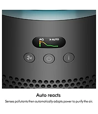 Dyson HushJet Purifier Compact