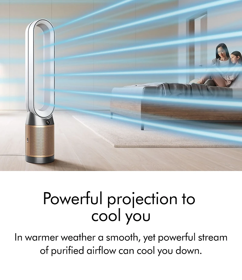 Dyson Purifier Cool PC2 De-NOx