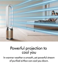 Dyson Purifier Cool PC2 De-NOx