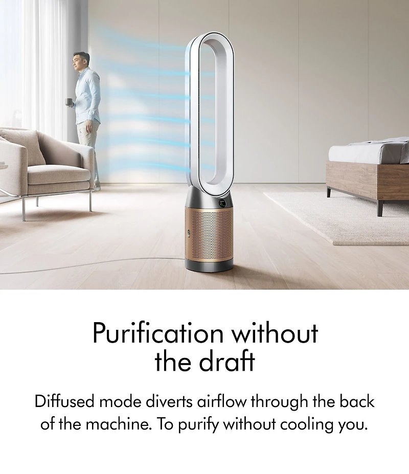 Dyson Purifier Cool PC2 De-NOx
