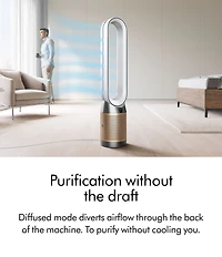 Dyson Purifier Cool PC2 De-NOx