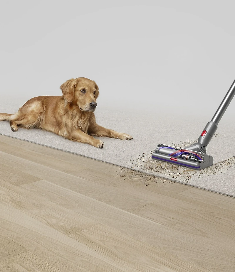 Dyson V15 Detect Cordless Vacuum