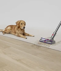 Dyson V15 Detect Cordless Vacuum