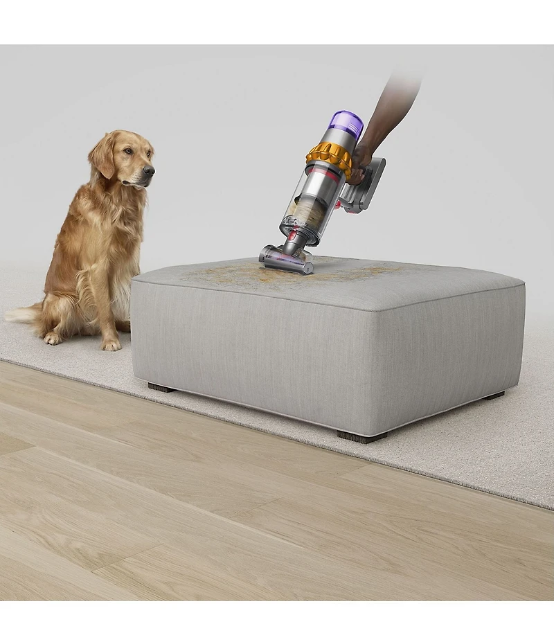 Dyson V15 Detect Cordless Vacuum Cleaner